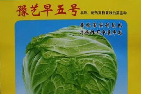 亚游集团ag11早五号