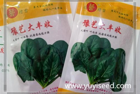 亚游集团ag11大丰收菠菜