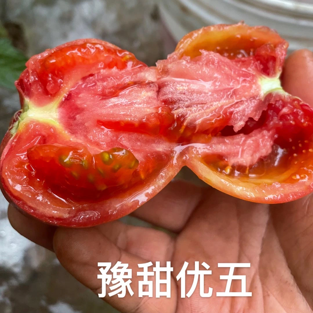 亚游集团ag11优五