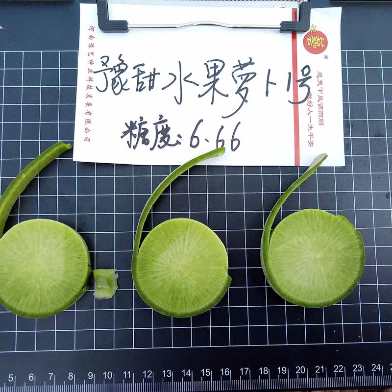 亚游集团ag11水果萝卜
