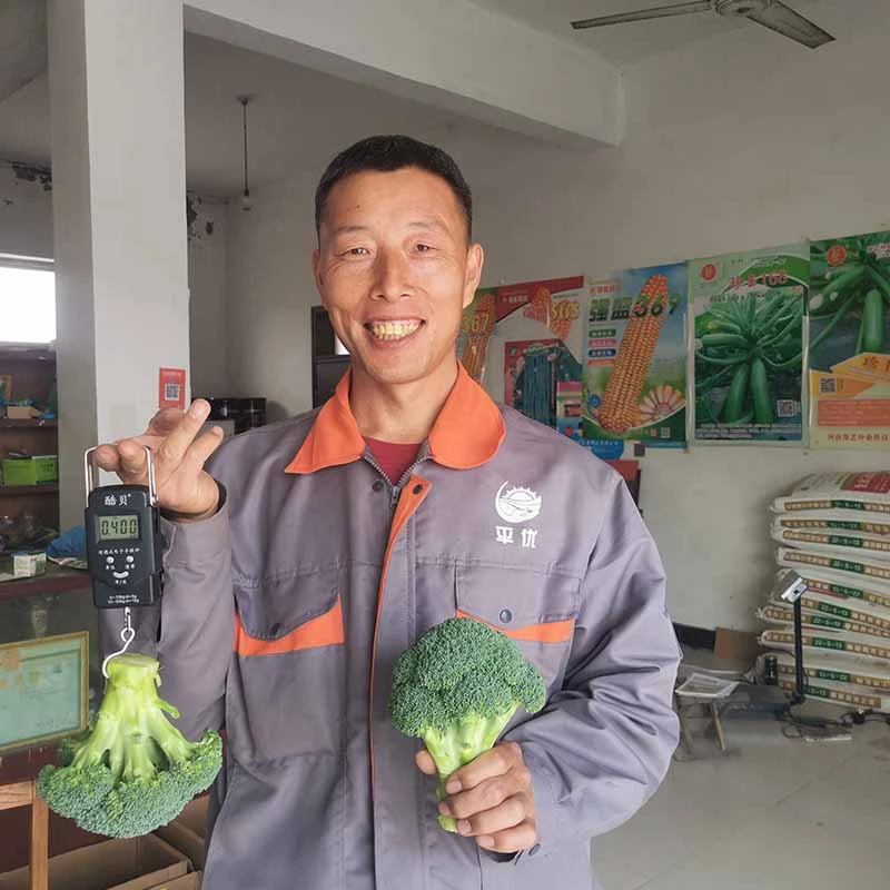 亚游集团ag11鲜绿