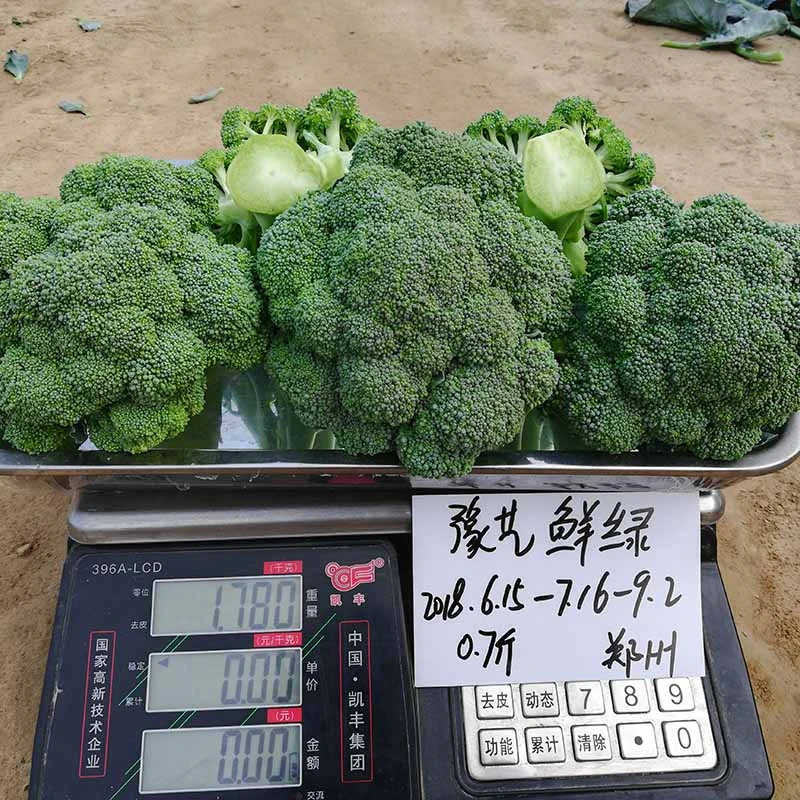 亚游集团ag11鲜绿