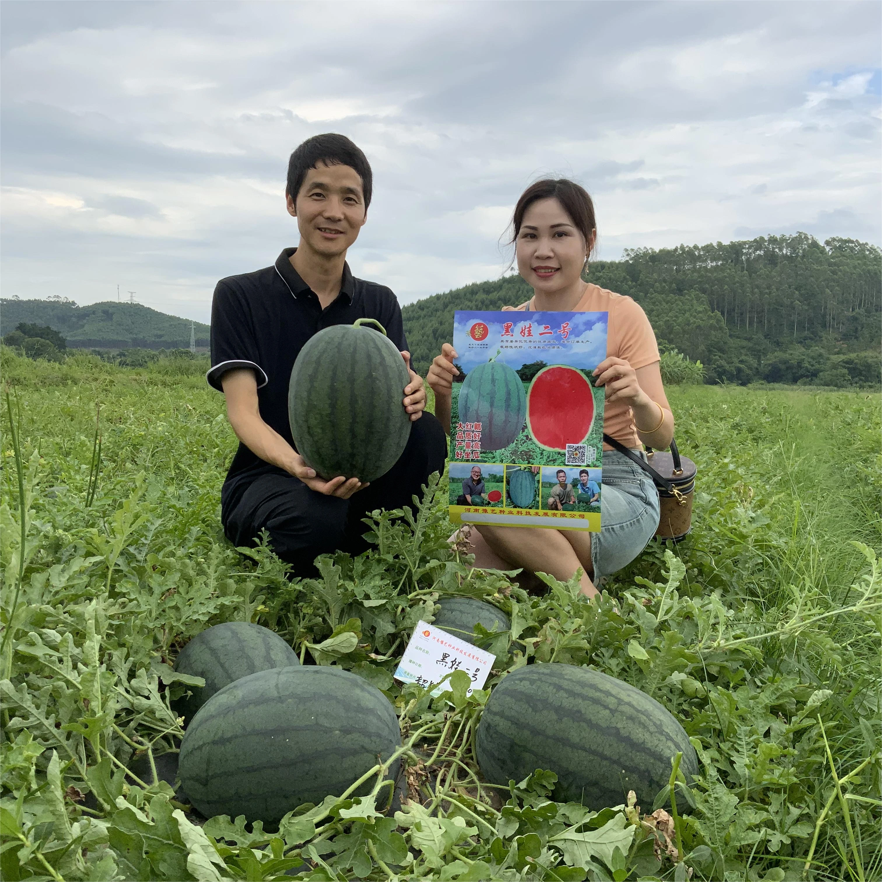 亚游集团ag11黑娃二号