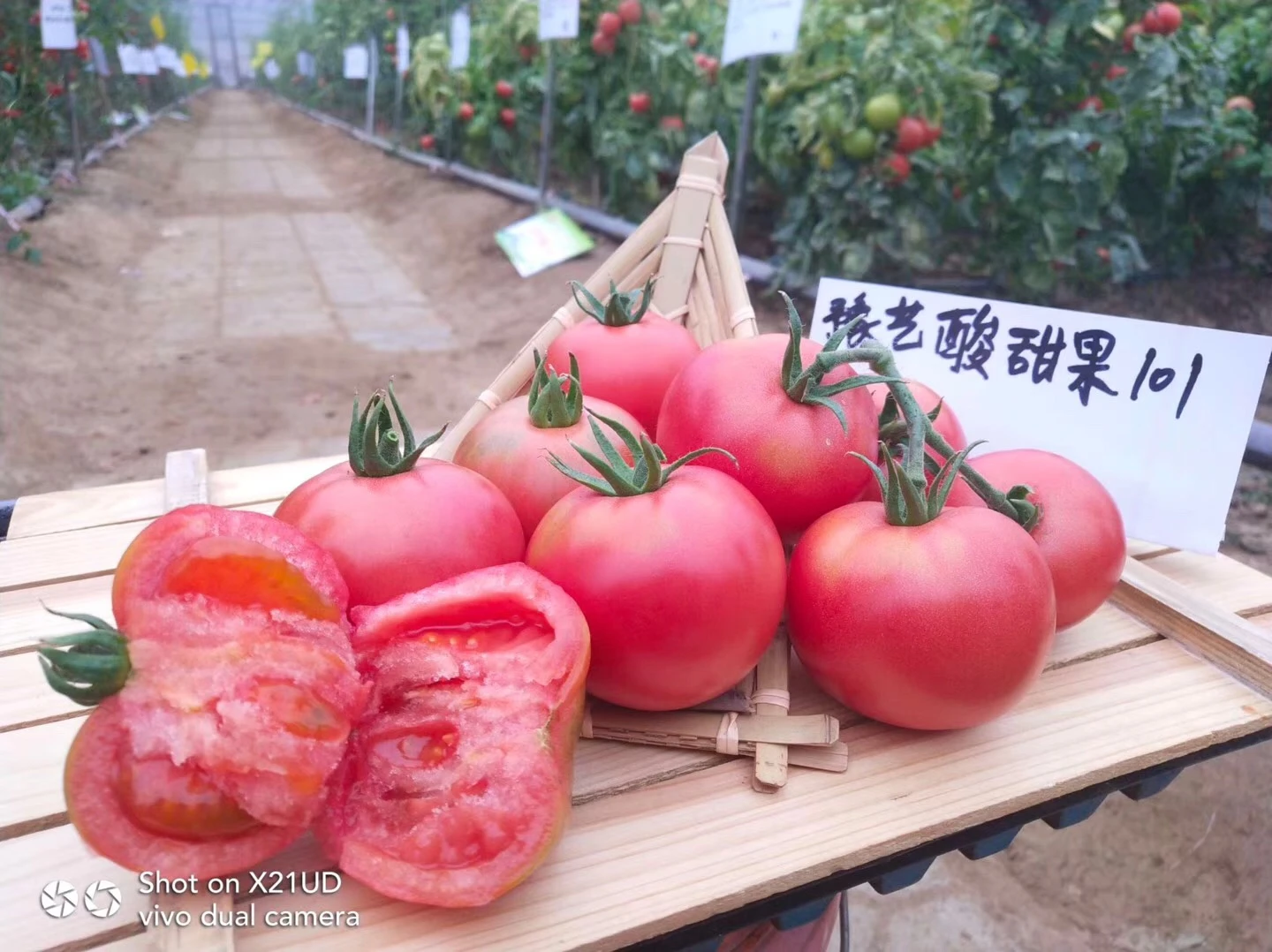 微信图片_20181202205835.jpg 微信图片_20181202205835.jpg