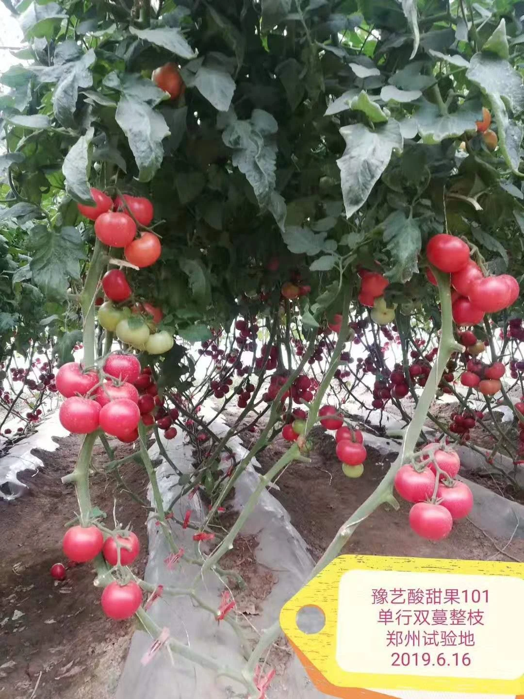 微信图片_20191225083114.jpg 微信图片_20191225083114.jpg
