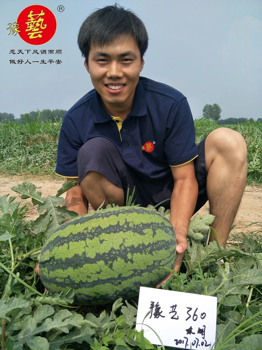 IMG20170702150602_副本.jpg IMG20170702150602_副本.jpg