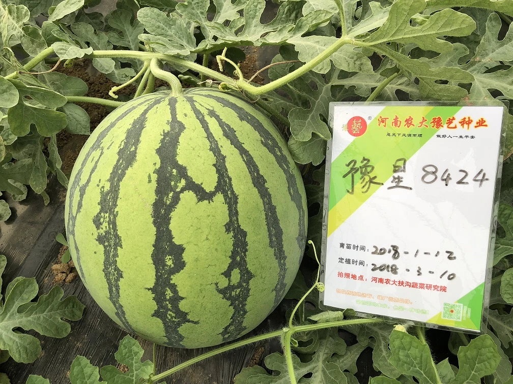 微信图片_20180812214508.jpg 微信图片_20180812214508.jpg